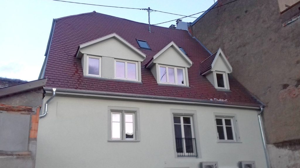 creation-chiens-assis-renovation-toiture