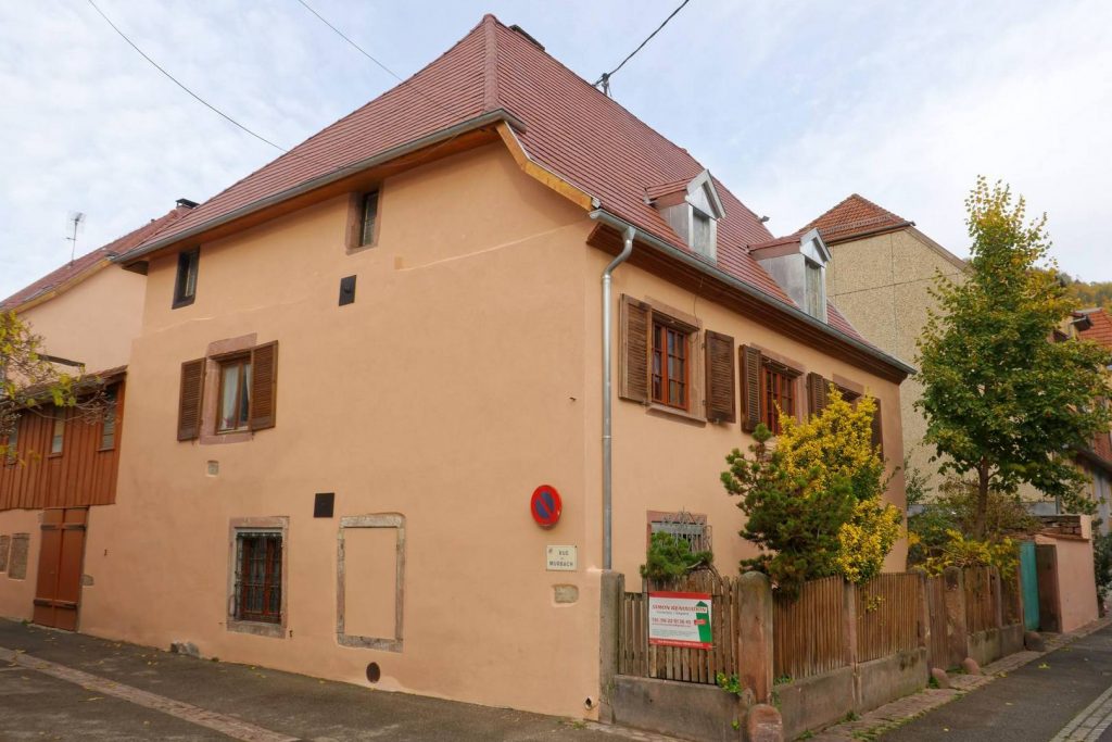 Toiture-tuiles-jacob-guebwiller-chiens-assis-zinc-vue-1