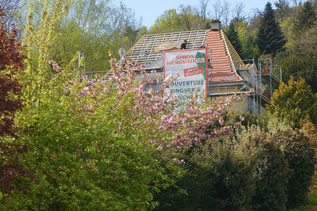 Chantier-arbres-en-fleurs