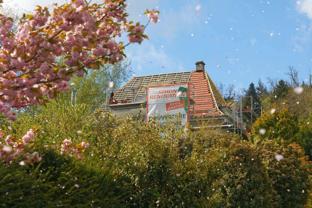Chantier-arbres-en-fleurs-et-pétales-qui-volent-au-vent