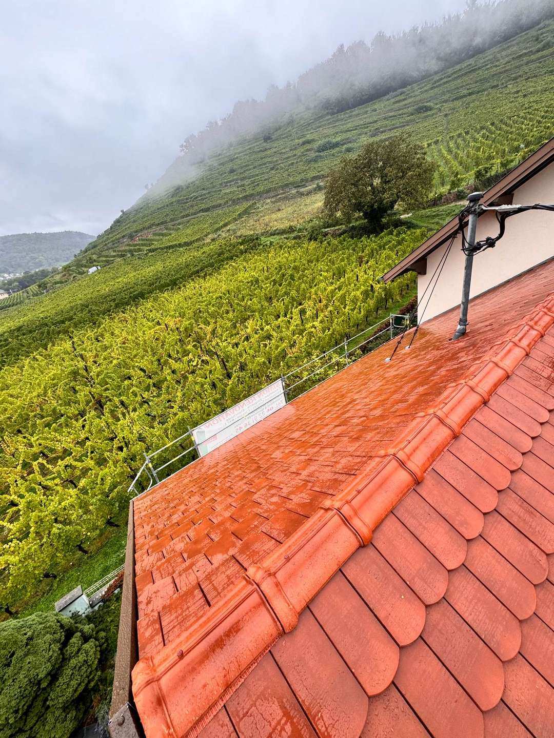 Toiture-vue-de-la-ligne-faîtière-chantier-vignoble-Guebwiller