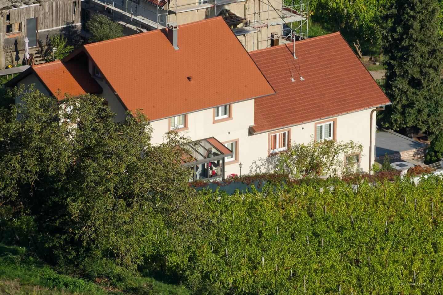 Vue-globale-sur-toiture-chantier-vignoble-Guebwiller